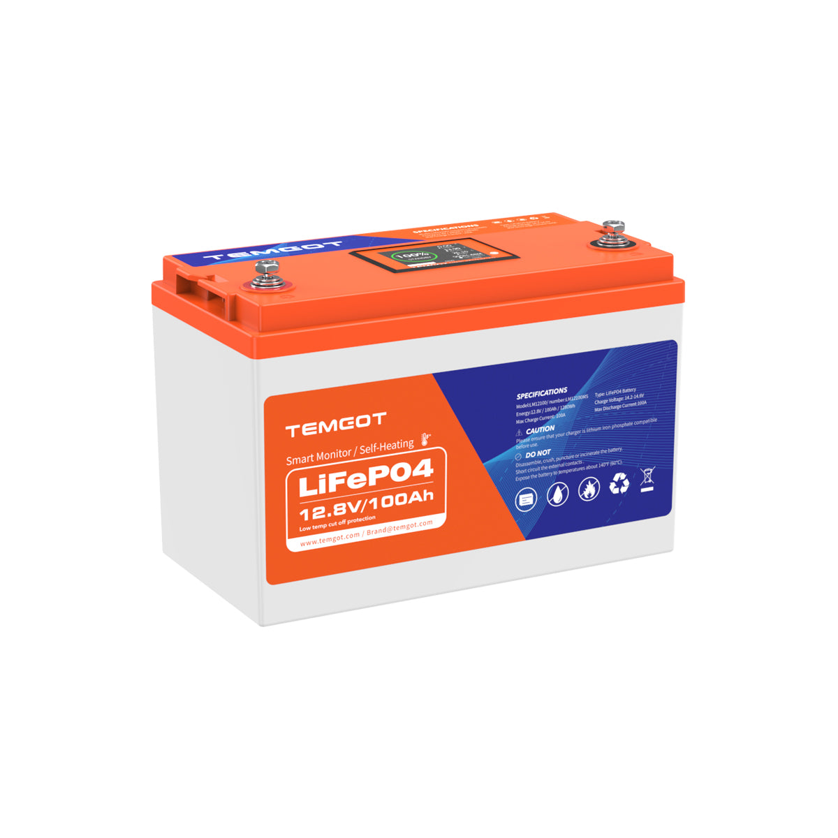 Temgot 12V 100Ah Group 24 Battery with Bluetooth, Self Heating and Touchable Screen