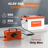 Temgot 36V (38.4V) 105Ah Lithium Golf Cart Battery with Touch Monitor, 4000+ Cycles, Rechargeable 200A BMS LiFePO4 Battery