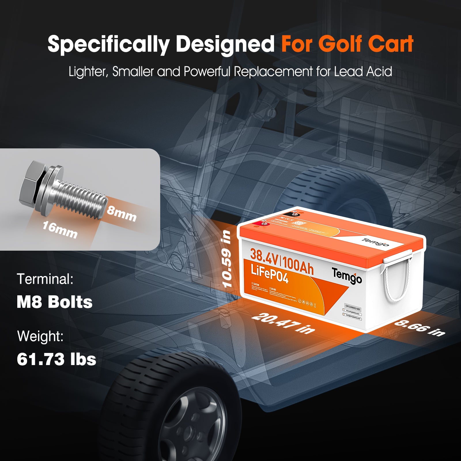 Temgo 36V (38.4V) 100Ah LiFePO4 Lithium Golf Cart Battery, Built-in 200A BMS, Complete Upgrade Kit with Charger, LCD Display, Voltage Converter, Retention Strap & App, Max 7.68kW Power Output, 5000+ Cycles